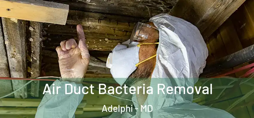  Air Duct Bacteria Removal Adelphi - MD