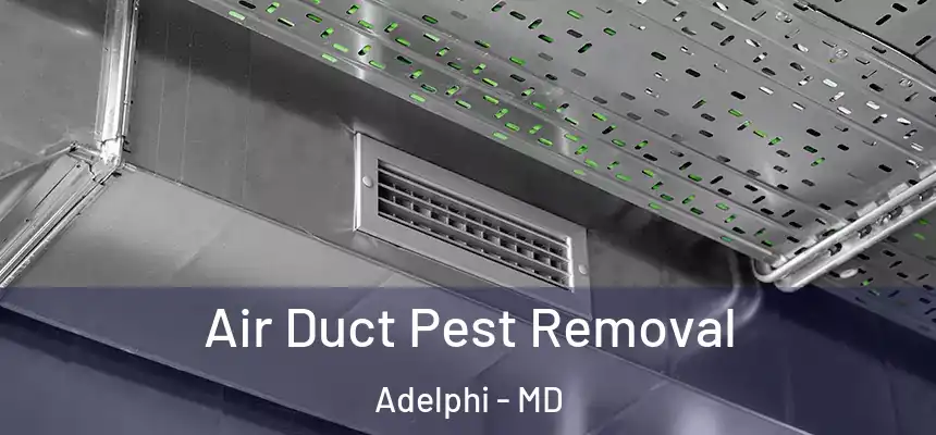  Air Duct Pest Removal Adelphi - MD
