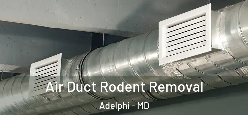  Air Duct Rodent Removal Adelphi - MD