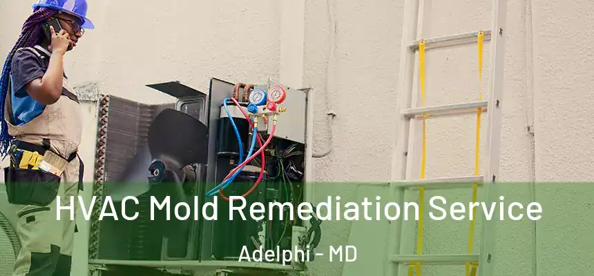  HVAC Mold Remediation Service Adelphi - MD