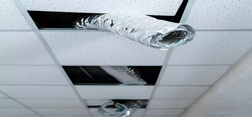 Our Air Duct Pet Hair Removal Services in Adelphi, MD