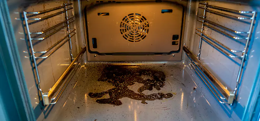 Our Dryer Vent Mold Cleaning Services in Adelphi, MD