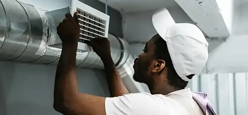 Our Licensed And Insured Cleaners in Adelphi, MD