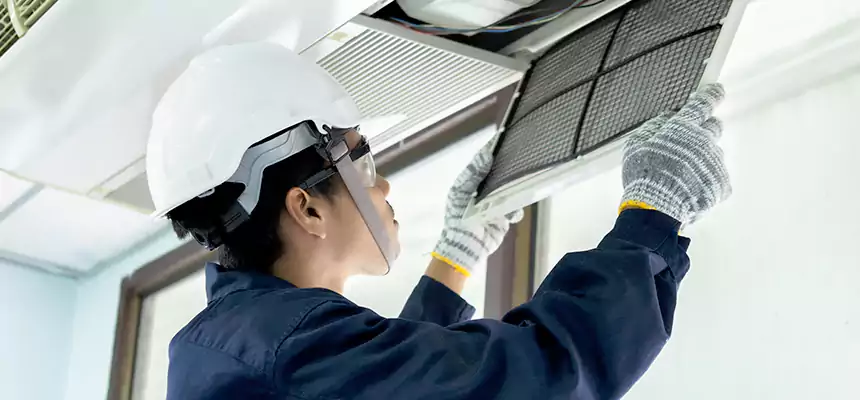 Our Mold & Mildew Removal from Air Ducts Services in Adelphi, MD