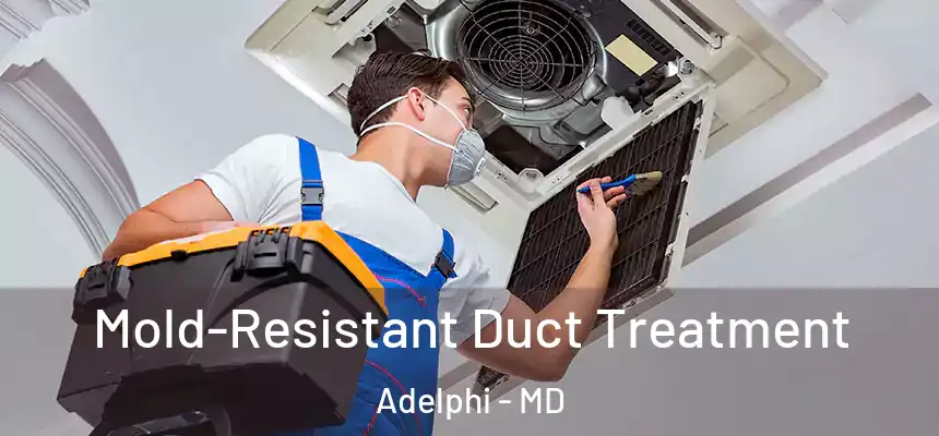  Mold-Resistant Duct Treatment Adelphi - MD