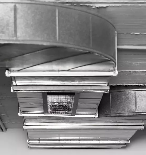 Professional Air Duct Pest Removal in Adelphi, MD