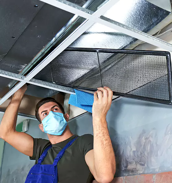 Professional Air Duct Pollen Cleaning in Adelphi, MD