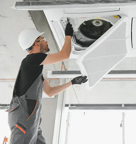 About Air Duct Rodent Removal in Adelphi, MD