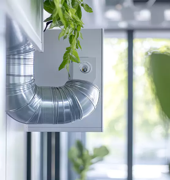 Professional Eco-Friendly Duct Cleaning Services in Adelphi, MD