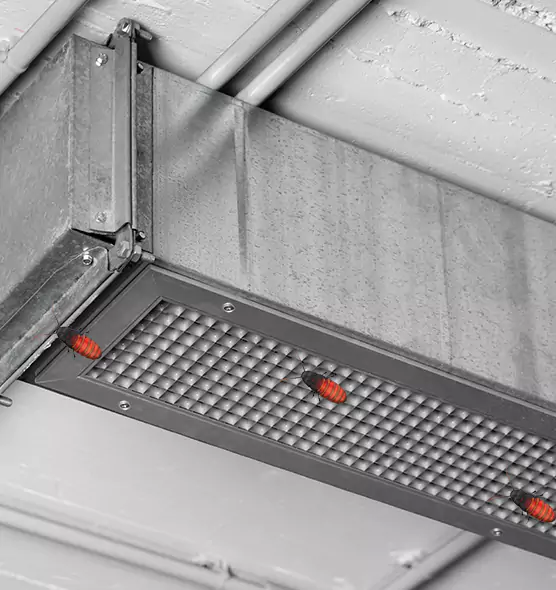 Affordable Insect Removal from Air Ducts in Adelphi, MD