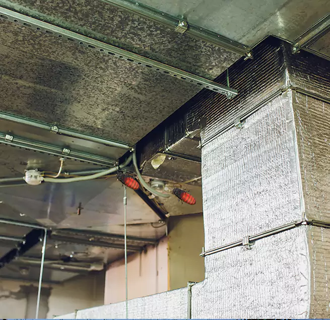 Why Homeowners & Businesses Trust Us in Adelphi, MD?