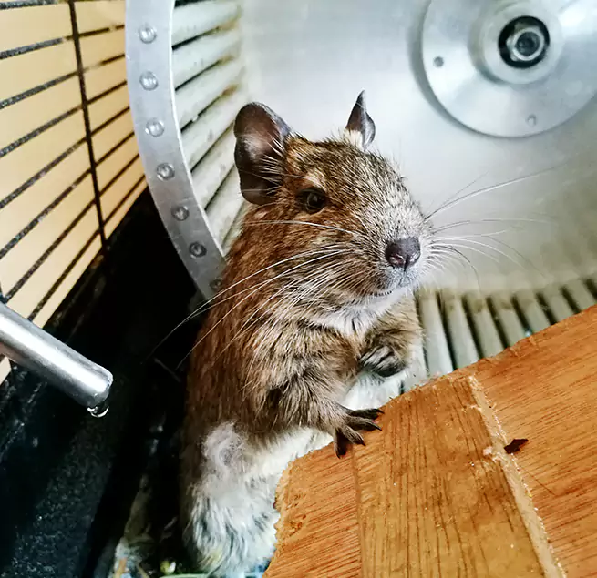 Why Homeowners & Businesses Trust Us Adelphi, MD