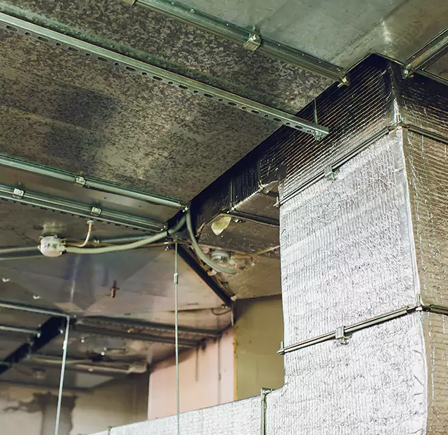 Why Homeowners & Businesses Trust Us in Adelphi, MD?