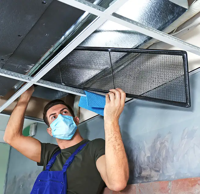 Why Homeowners & Businesses Trust Us in Adelphi, MD?