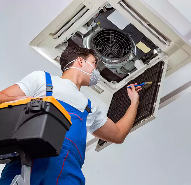 Why Homeowners & Businesses Trust Us in Adelphi, MD?